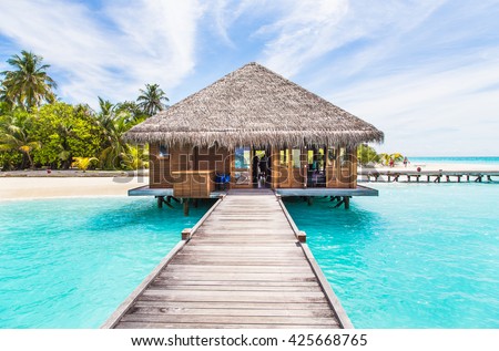 Water Villas (Bungalows) on the Perfect Tropical Island, Beautiful white sand on Tropical beach blue water blue sky with coconut palm , Maldives islands 