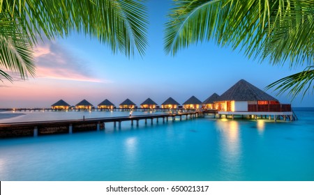 Water villas in lagoon, Maldives resort island in sunset. Detail of palm leaves on foreground. Vacation and beach relaxation, summer holidays background
