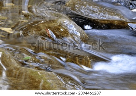 water waterfall timelapse nature fish