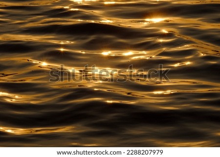 the water waves with reflection of the glistening sunlight in the evening
