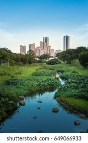 Water Way At Bishan - Ang Mo Kio Park