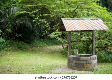 Water Well In Forest