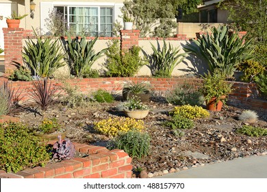 A water wise front yard in a Southern California home. California's drought has spurred many homeowners to remove their lawns and replace with native species and other drought tolerant plants.