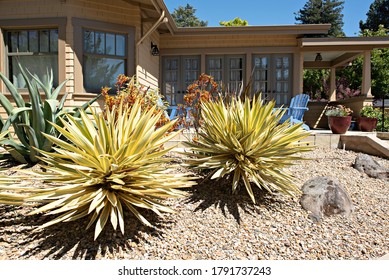 Water Wise Garden In The Front Yard