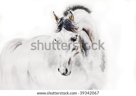 watercolor arab stallion