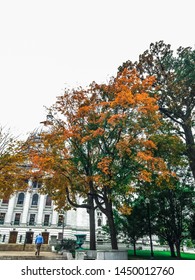 Watercolor Fall In Madison Wisconsin 