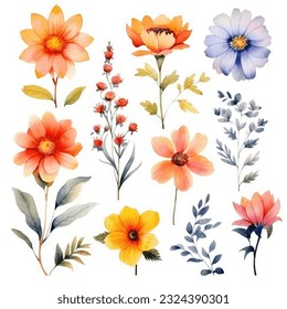 Watercolor flowers. Set Watercolor of multicolored colorful soft flowers. Flowers are isolated on a white background. Flowers pastel colors illustration