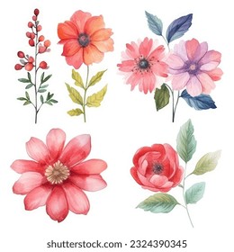 Watercolor flowers. Set Watercolor of multicolored colorful soft flowers. Flowers are isolated on a white background. Flowers pastel colors illustration - Shutterstock ID 2324390345