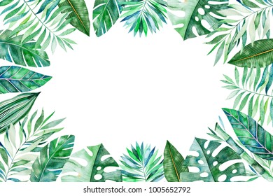 Jungle Border Stock Illustrations, Images & Vectors | Shutterstock