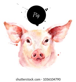 Watercolor hand drawn pig head illustration. Painted sketch isolated on white background