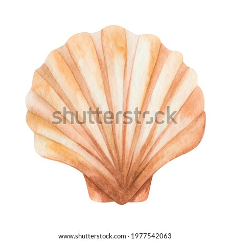 Watercolor hand painted scallop sea shell beige isolated on white. Brown marine beach element clip art for summer wedding invitation and party card making, wrapping papper, wallpaper, postcards design