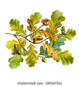 Watercolor Oak Leaves Stock Images, Royalty-Free Images & Vectors ...