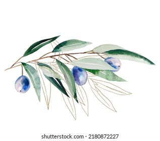 Watercolor olive branch with blue fruits and green leaves with golden outline illustration isolated. Elegant greenery Element for wedding design, greeting cards. Symbol of peace and purity