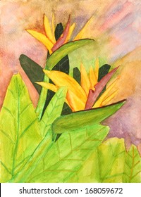 Watercolor painting of a Bird of Paradise Flower
