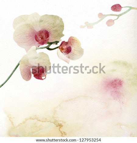 Watercolor painting, orchid