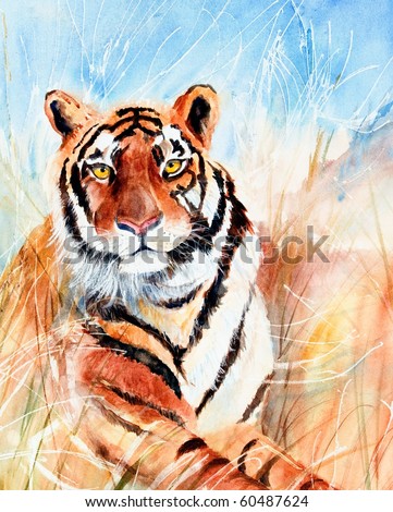 Watercolor painting of tiger in grass