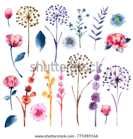Watercolor set of botanic floral blooming natural elements. Wild flowers, twigs and leaves. Botanical bright classic collection isolated on white background.