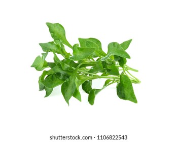 Watercress On White Background