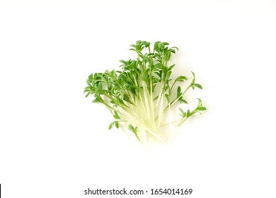 Watercress salad micro greens on white background. Organic raw vegan healthy food. Vegan dinner ingreditn. Healthy nutrition.