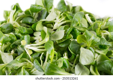 Watercress Salad On A White Background