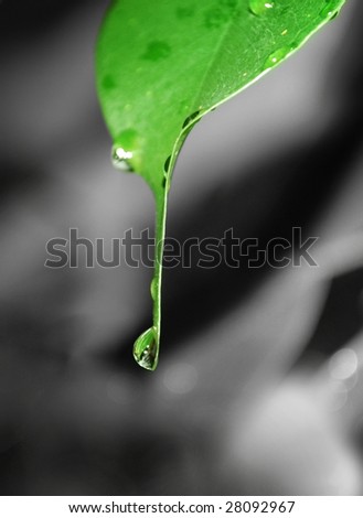 Similar – Image, Stock Photo Flowing Yellow Bathroom