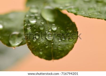 waterdroplets