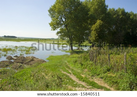 watered meadow