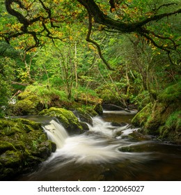 Waterfall At Aira Force National Trust, Lake District, UK