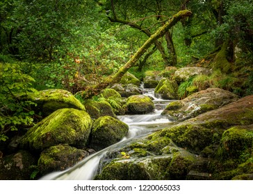 Waterfall At Aira Force National Trust, Lake District, UK