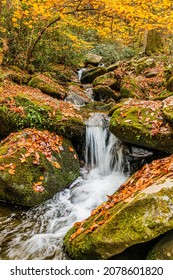 Waterfall Along The Roaring Fork River