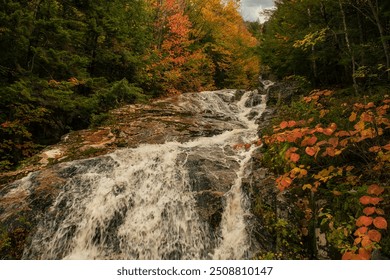 Waterfall among autumn forest at sunset. New Hampshire National Park USA. - Powered by Shutterstock