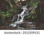 Waterfall in Australian Rain forest 