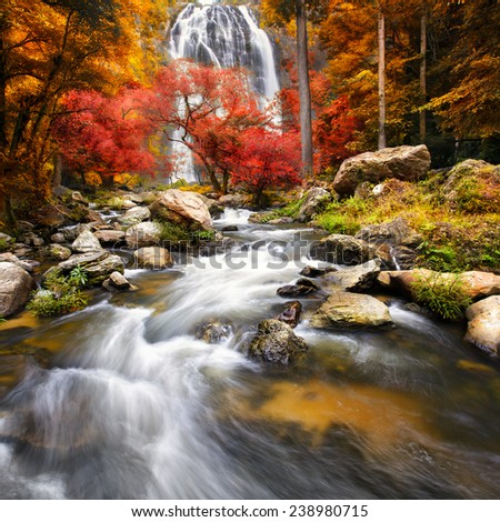 Waterfall in the autumn