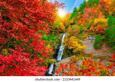 Waterfall in autumn colors. Nature landscape in mountain. colorful forest landscape. Autumn landscape in the waterfall flowing from the mountain. Colorful autumn scenery. colorful leaves in forest. - Shutterstock ID 2153441449