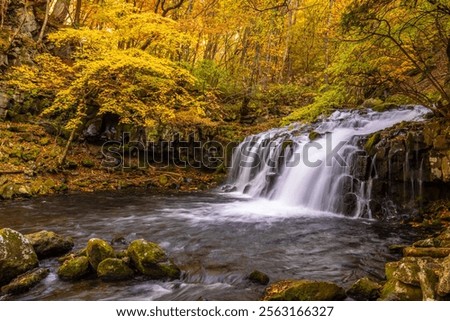 waterfall in the autumn forest	

