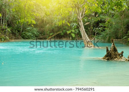 Similar – Pool with jungle