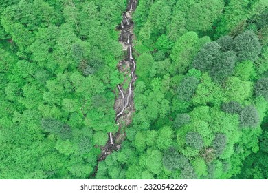 Waterfall Between Forests and Vegetation