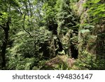 Waterfall in the Black Forest