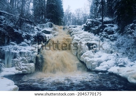 Waterfall cascade in forest mountains. Spring and mass of thawed muddy water falls from cliff among snow-covered spruce forest. Waterfall banks covered with ice like sheep's collar. Northern Europe