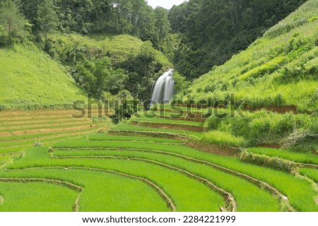 Waterfall cascade and stream river with fresh paddy rice terraces, green agricultural fields in countryside or rural area of Mu Cang Chai, mountain hills valley in Asia, Vietnam. Nature landscape.