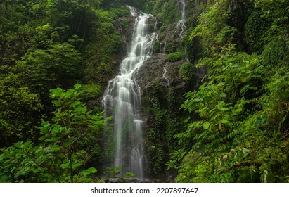 Waterfall In Central America Forest