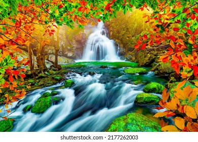 waterfall in colorful forest. Beautiful stream flowing in deep forest landscape. waterfall landscape in Autumn season. Autumn landscape in amazing nature. Autumn colors in colorful nature scenery.