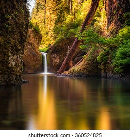 A Waterfall At Columbia River Gorge, Oregon, CA, USA