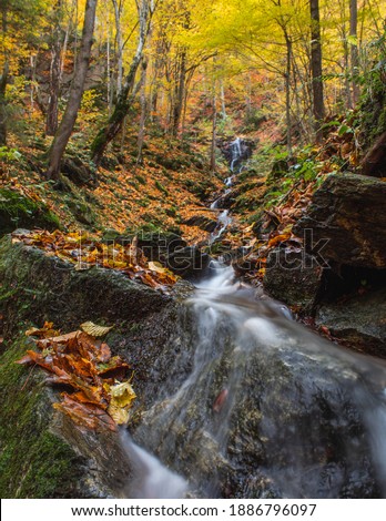 Waterfall covered by autumn leaves