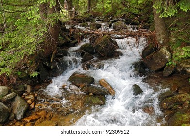 waterfall in a dense forest