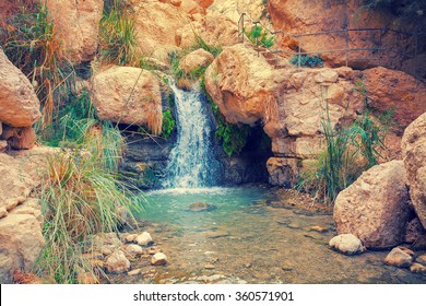 Waterfall In Ein Gedi, Israel