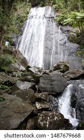 Waterfall In The El Yunque Rainforest