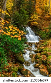 Waterfall and fall color along the Back Fork of Elk River, Webster County, West Virginia, USA