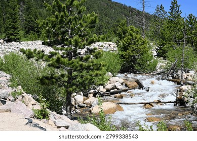 Waterfall flowing down the rocks