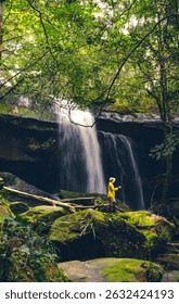 A waterfall flows down from a cliff in the forest. The water is strong in the rainy season. There are black rocks, trees, and moss all around. A woman with trekking gear stands on a big rock.